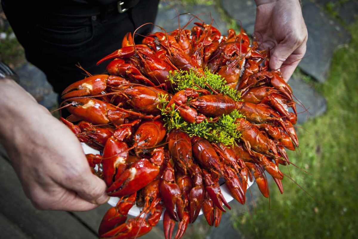 Crawfish presented nicely on a plate. Credit: Spruce Eats