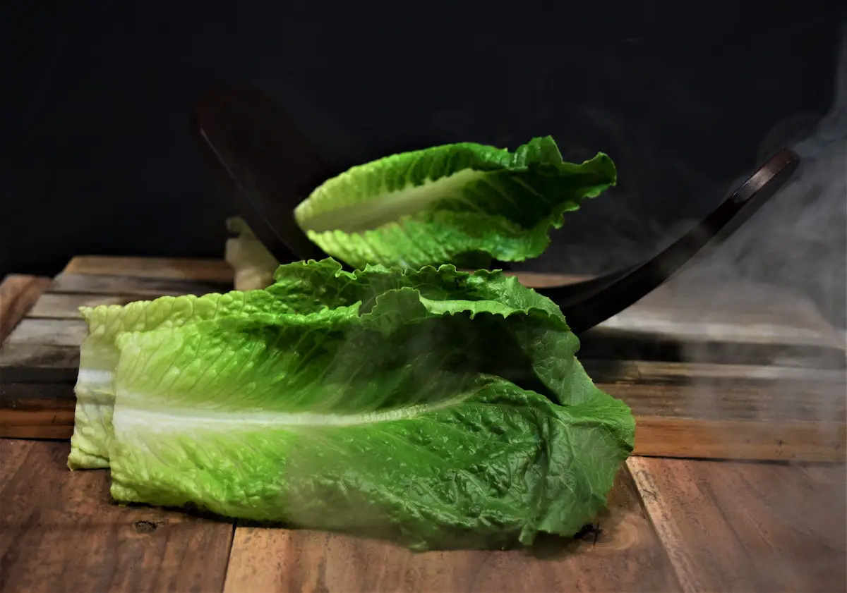 Gem lettuce. Credit: Unsplash