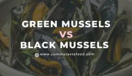 Mejillones verdes vs mejillones negros: ¿cuál es la diferencia?