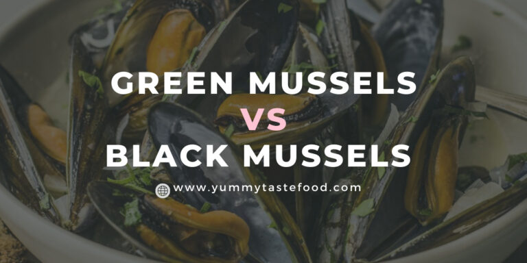 Green Mussels vs Black Mussels – What’s The Difference?