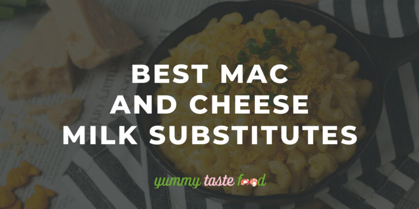 Melhores substitutos de leite Mac e queijo