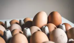 Fresh eggs sitting out in an egg carton.