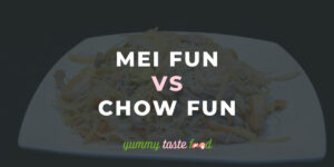 Mei Fun Vs Chow Fun