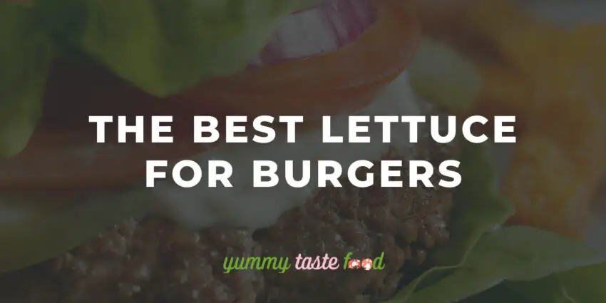 The Best Lettuce For Burgers