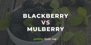 Blackberry vs Mulberry