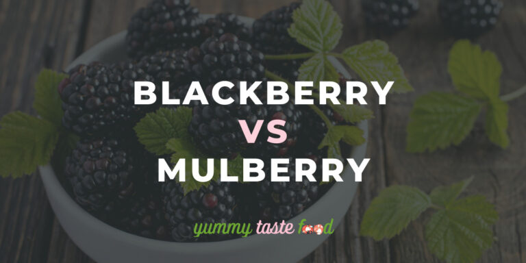 Blackberry vs Mulberry