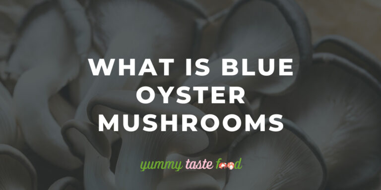 Blue Oyster Mushrooms