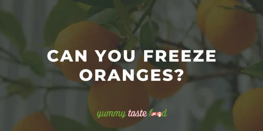 Can you freeze oranges?