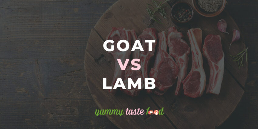 Goat Vs Lamb