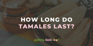 How Long Do Tamales Last?