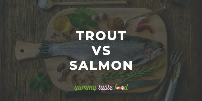 Trout Vs Salmon - What’s The Difference?