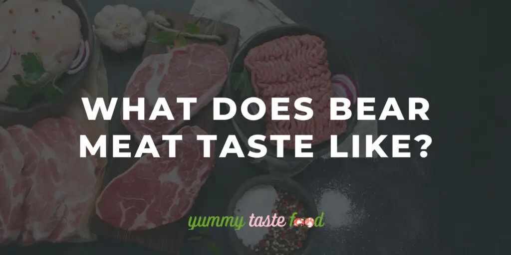 What Does Bear Meat Taste Like