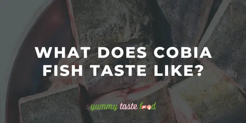 What Does Cobia Fish Taste Like?