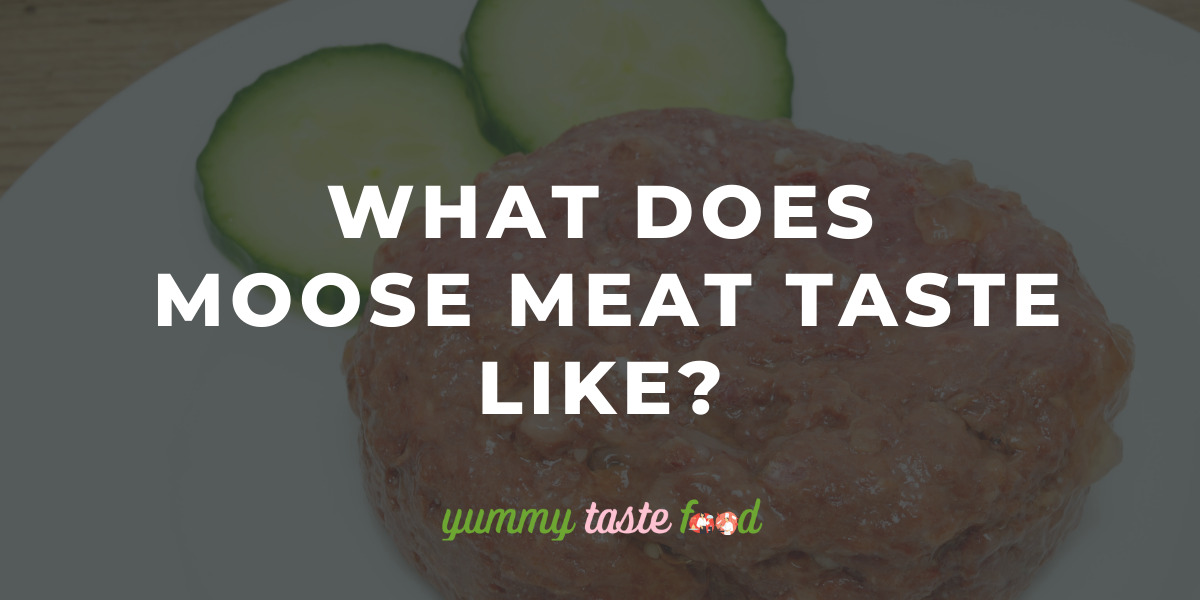 what does moose meat taste like?