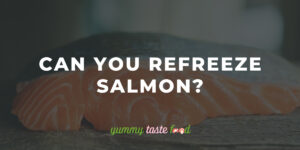 Can You Refreeze Salmon? – Is It Safe?