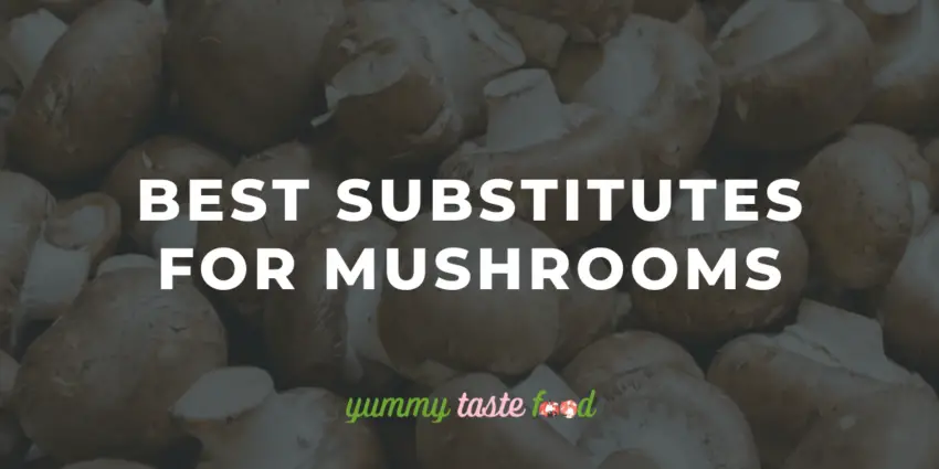 Melhores substitutos e alternativas para cogumelos