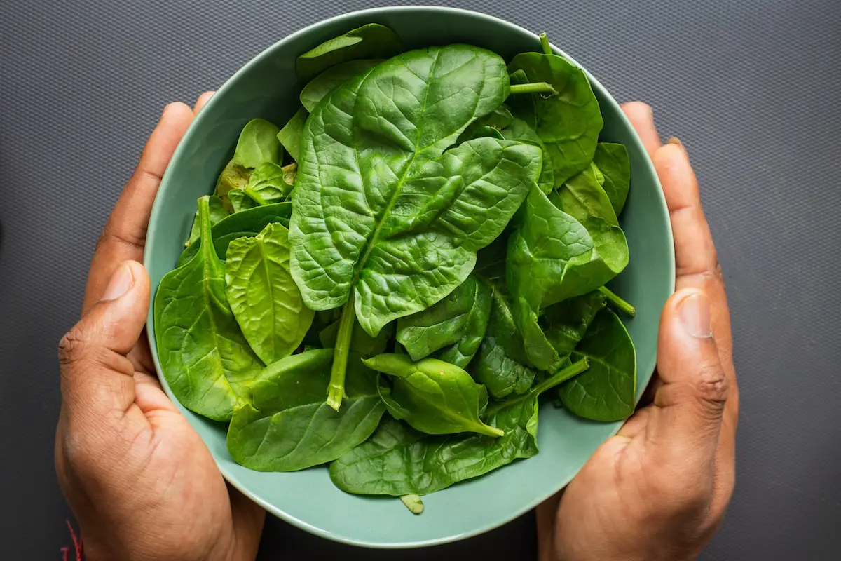 Spinach in a bowl. Credit: Unsplash