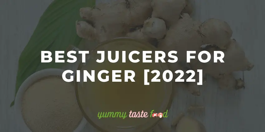 Best Juicers For Ginger of 2022 Guide
