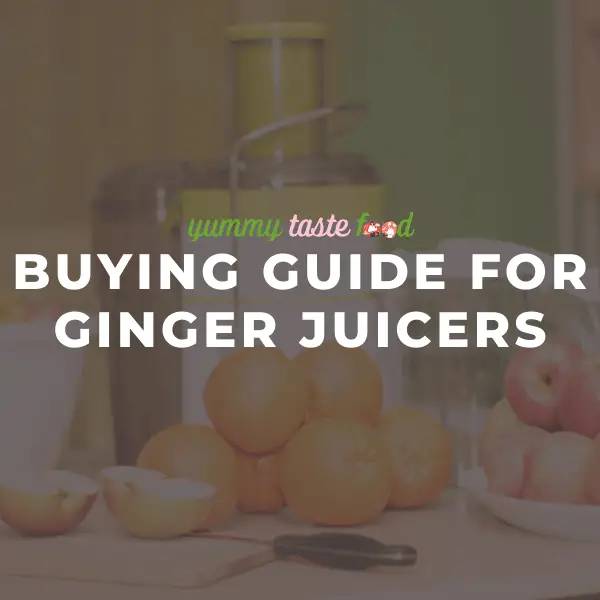 Buying guide for ginger juicers