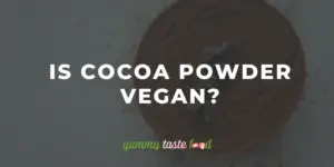 Is cacaopoeder veganistisch?