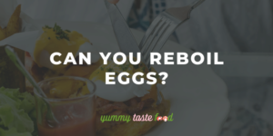 Can You Reboil Eggs?