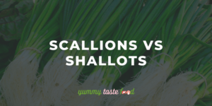 Scallions vs Shallots