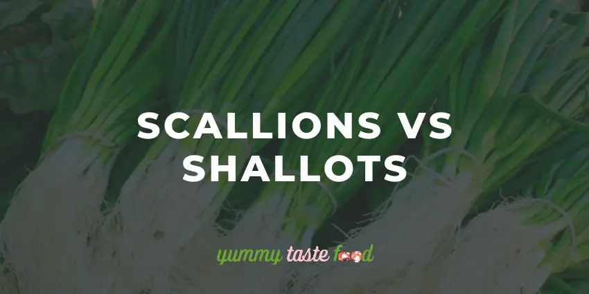 Scallions vs Shallots