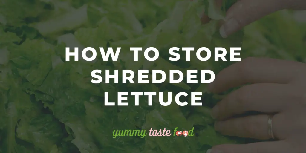 How To Store Shredded Lettuce