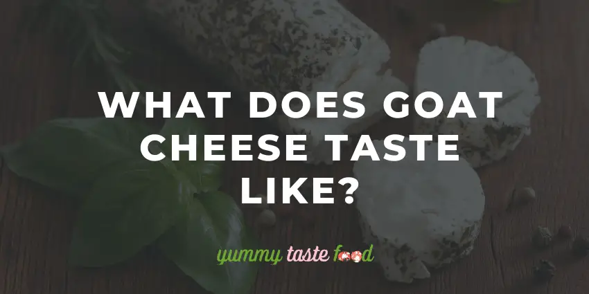 What does goats cheese taste like?