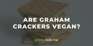 Are Graham Crackers Vegan?