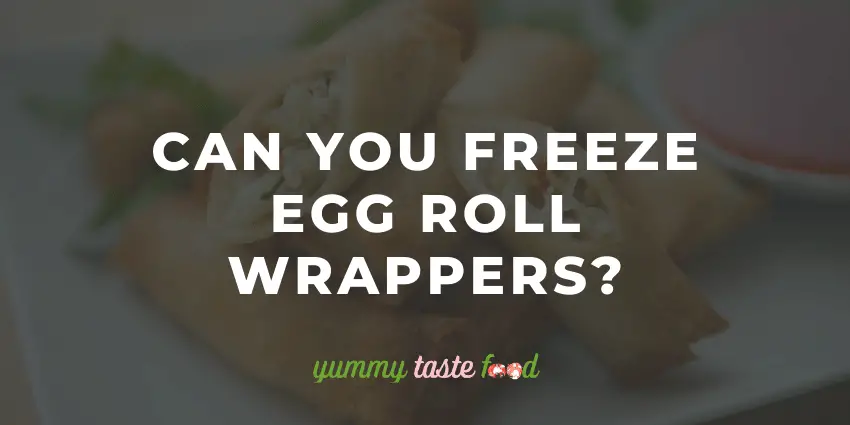 Can You Freeze Egg Roll Wrappers?