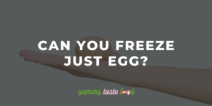 Can You Freeze JUST Egg?