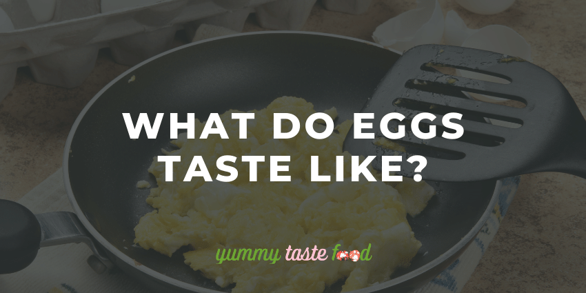 What Do Eggs Taste Like?