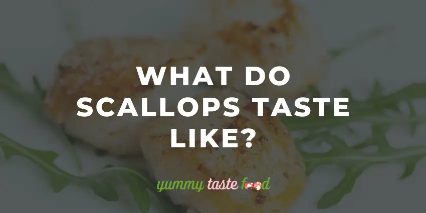 What Do Scallops Taste Like? Essential Guide