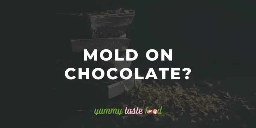 Mold On Chocolate - Seguro Para Comer Ou Bin-los?