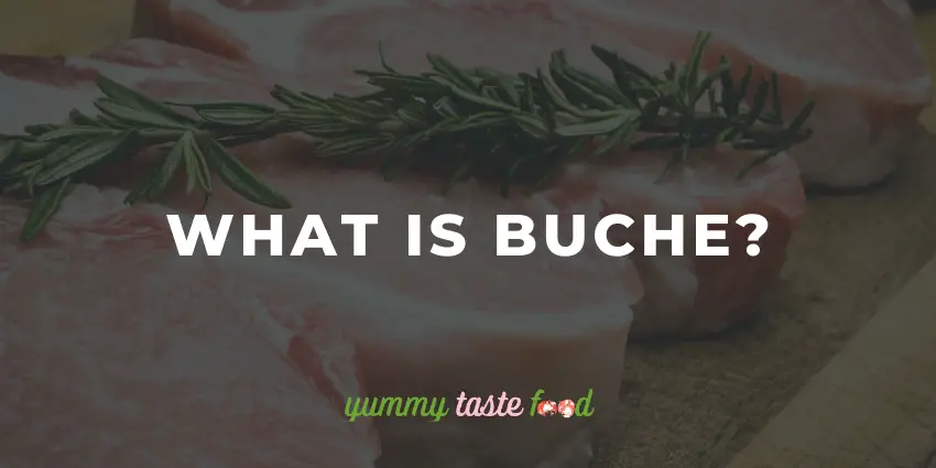 O que é Buche?