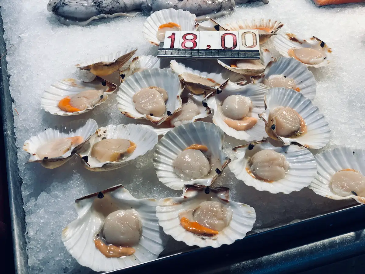 Scallops at a fish market. Credit: Unsplash