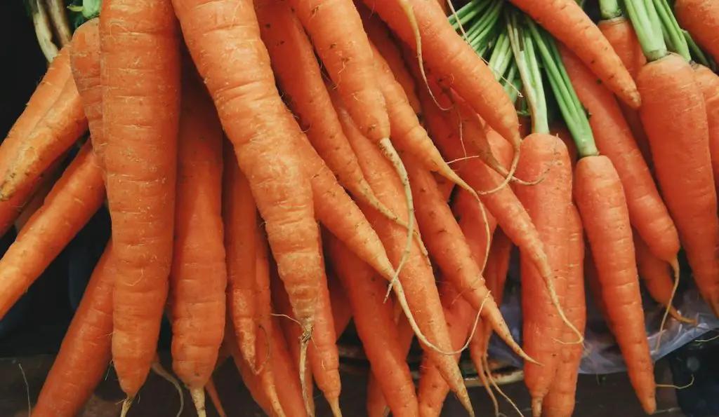 Substitutes For Carrots: Guide to Delicious Alternatives
