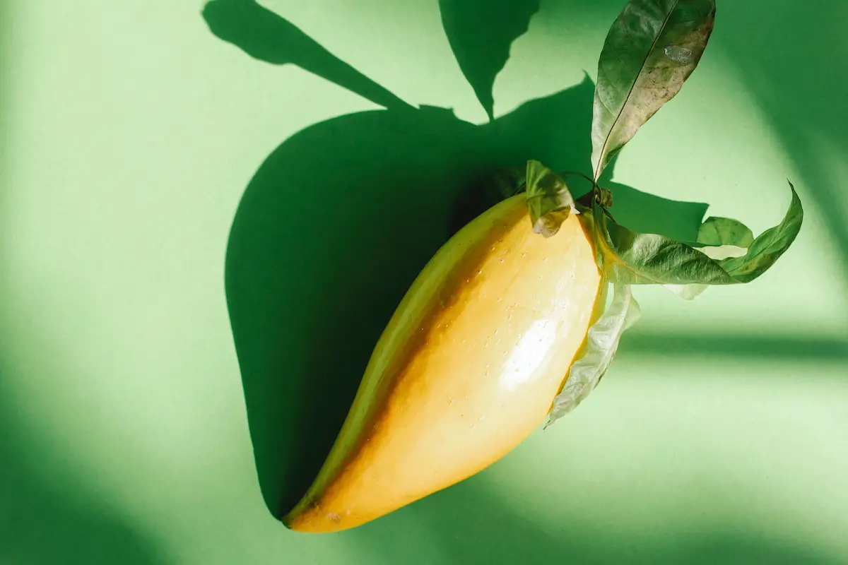 Eggfruit or it's also known as Canistel. Credit: Pexels