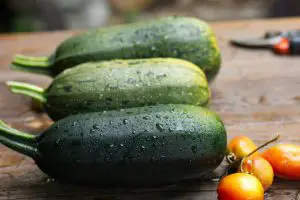 Miniature zucchini and cucumber.