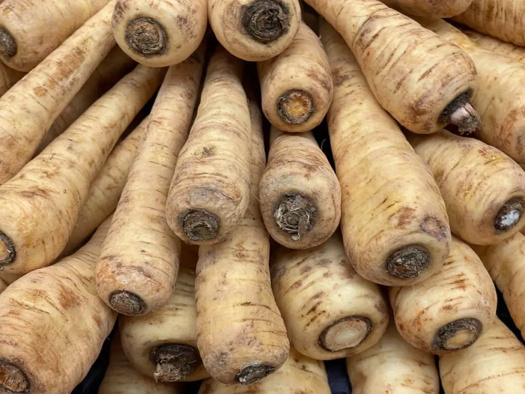 Substitutes For Parsnips: Guide to Delicious Alternatives