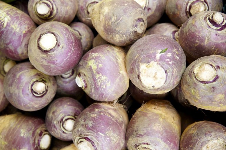 Rutabagas vegetable