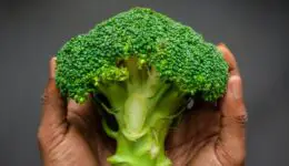 Holding a broccoli head. Credit: Unsplash