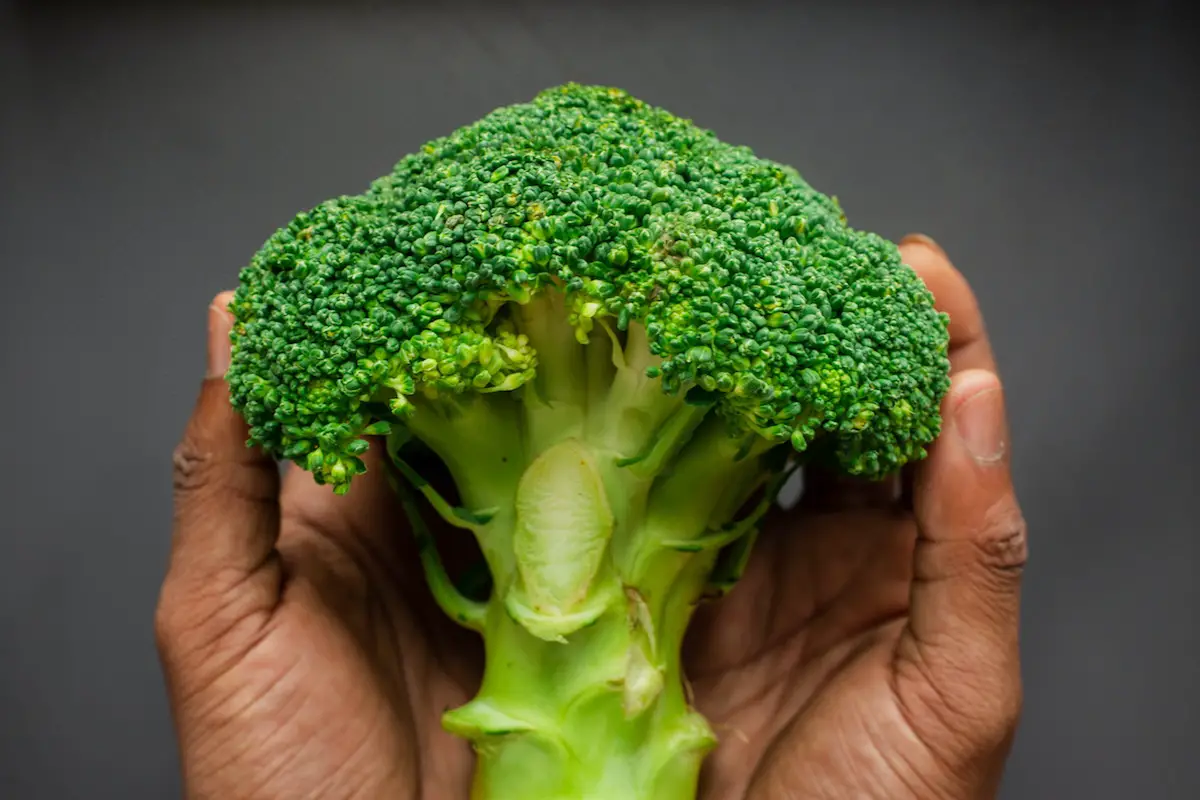 Holding a broccoli head. Credit: Unsplash