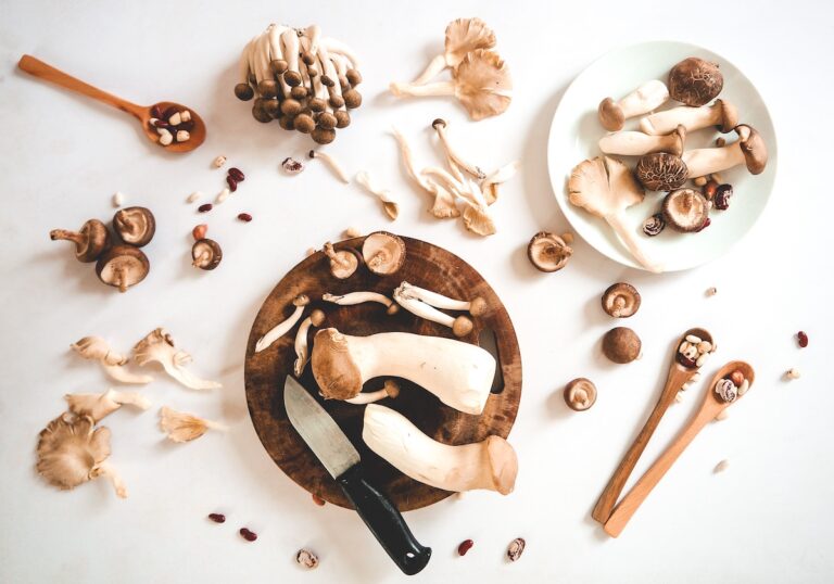 Mix of mushrooms. Credit: Unsplash