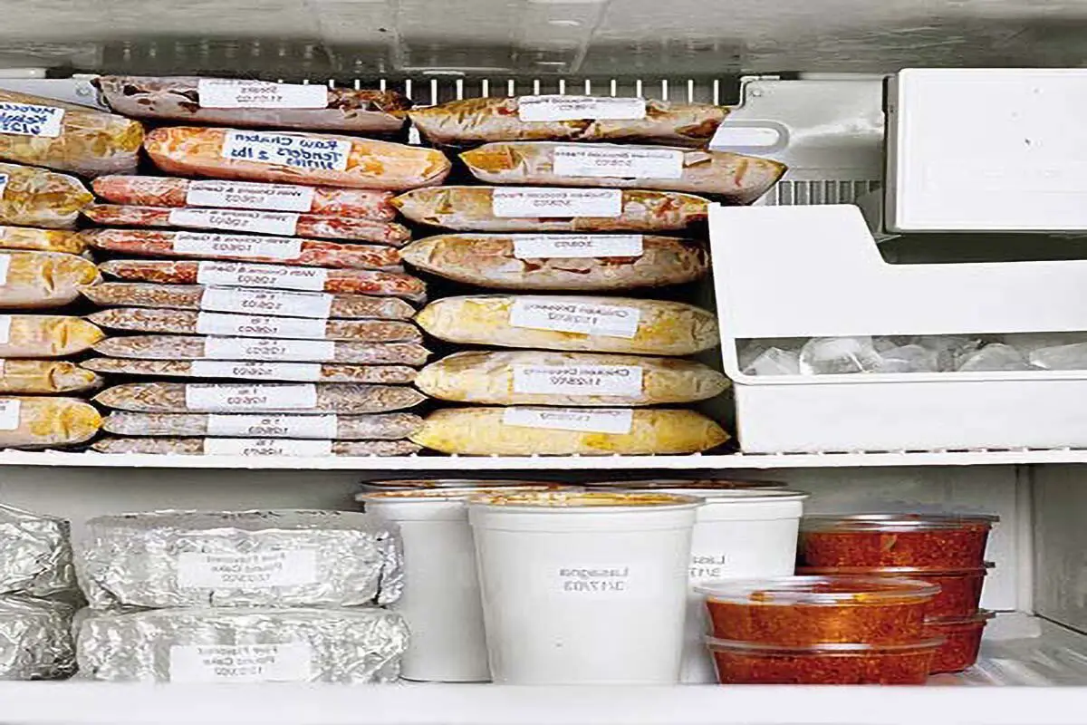 Importance of Freezer bags