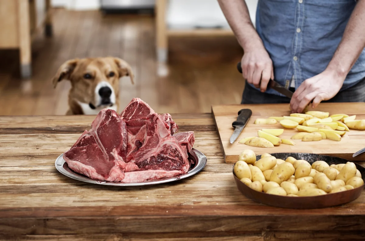 Cooking steak for your dog. Credit: Getty Images