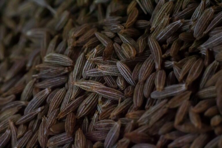 Anise seeds.