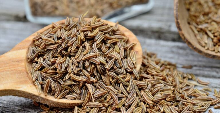 Carraway Seeds