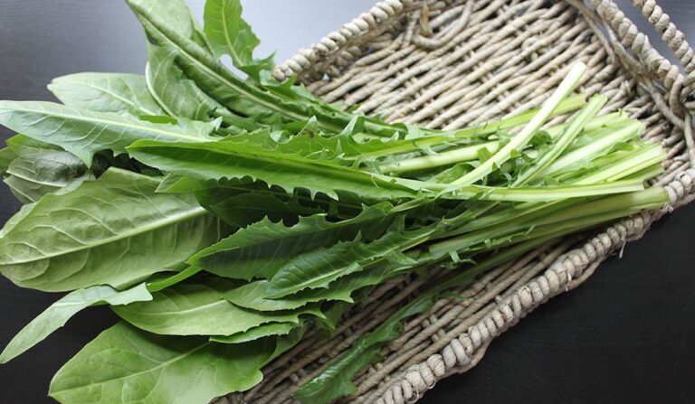 Dandelion greens.